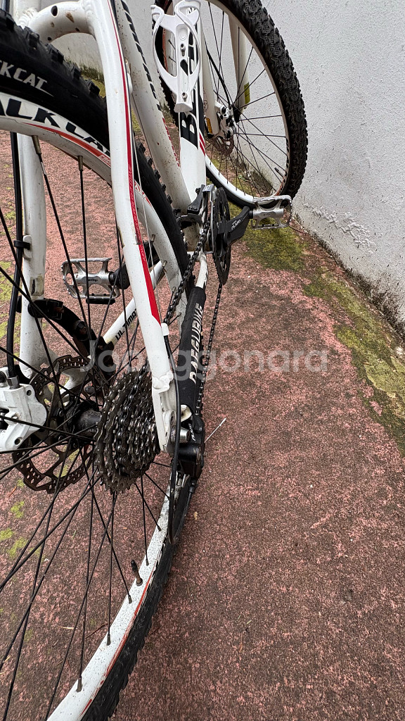 블랙캣 임팩트 익스퍼트 mtb 자전거--4
