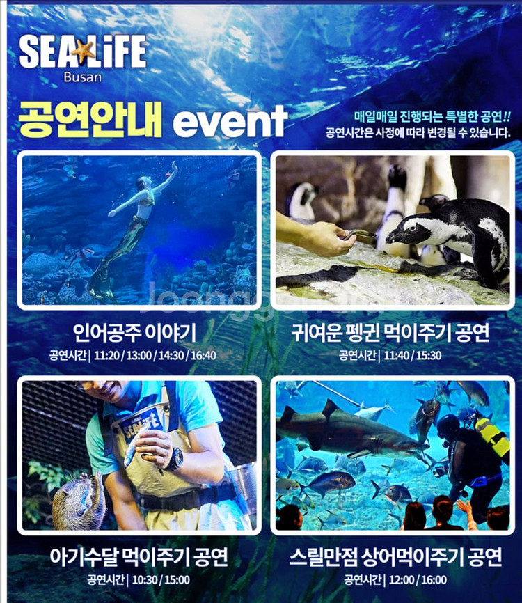 씨라이프 부산아쿠아리움 모바일 입장권--0