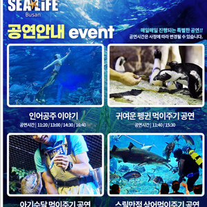 씨라이프 부산아쿠아리움 모바일 입장권