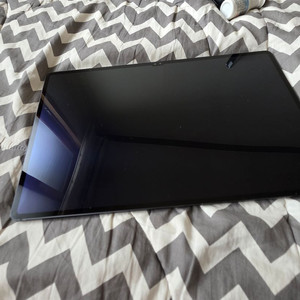 갤럭시탭 s9 울트라 256GB wifi