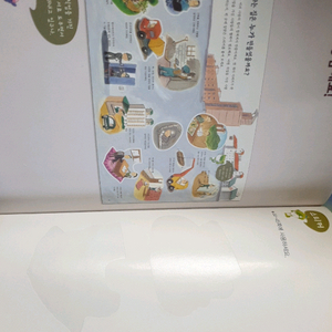 솔루토이 경제 택포