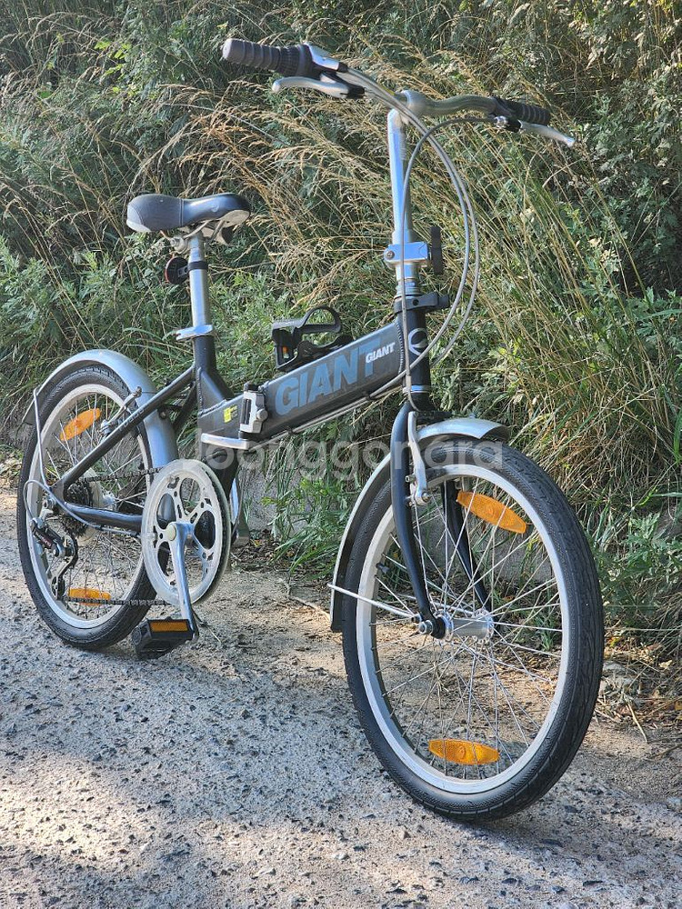 자이언트 FD806 접이식 자전거--1