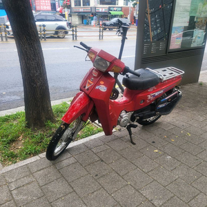 윈디100