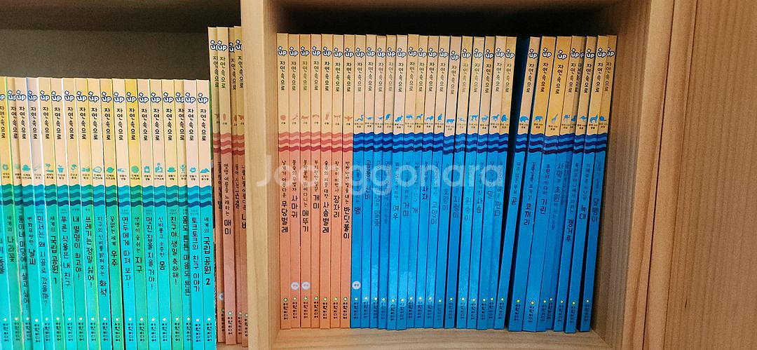 탄탄 자연속으로 플러스업 택포--1