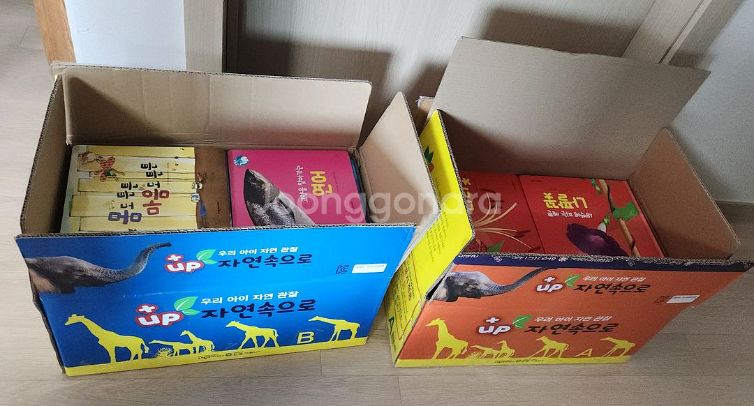 탄탄 자연속으로 플러스업 택포--4