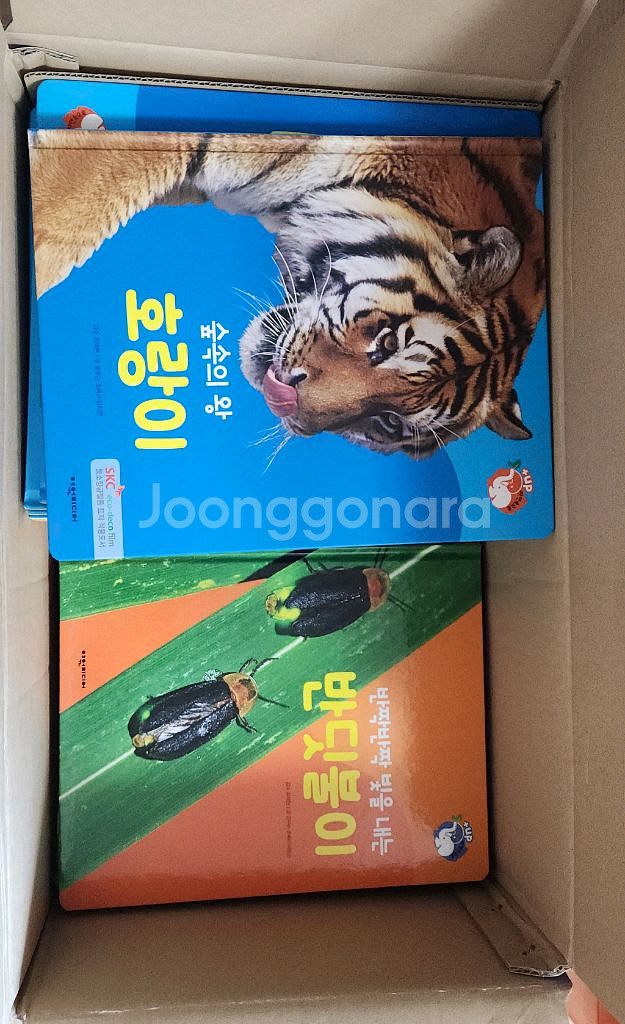 탄탄 자연속으로 플러스업 택포--9
