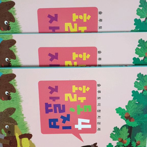 솔루토이 정치 경제 택포