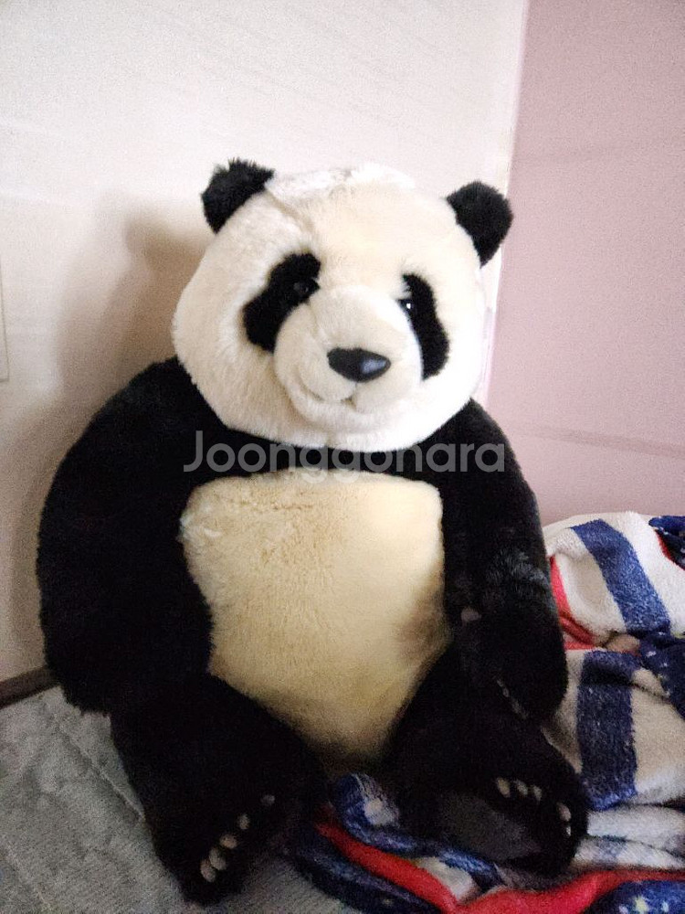 푸바오인형--0
