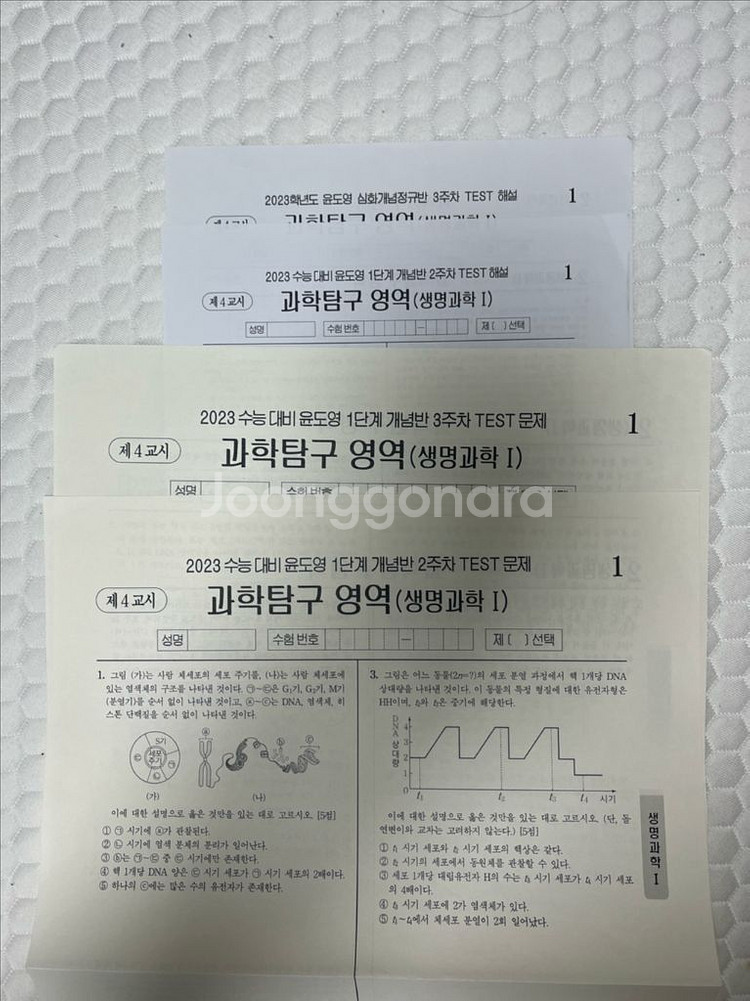윤도영 2023 올어바웃, 인피니트에볼루션--4
