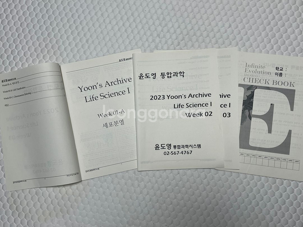 윤도영 2023 올어바웃, 인피니트에볼루션--3