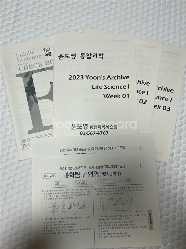 윤도영 2023 올어바웃, 인피니트에볼루션--5