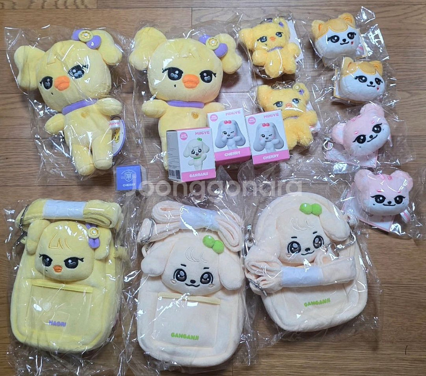아이브 미니브 스쿨 팝업 나오리 강안지 체리 치즈 이랑--0