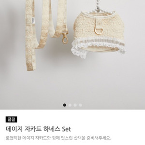 루이독 하네스
