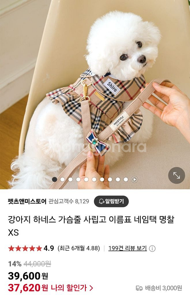펫츠앤미 사립고 하네스 s--0