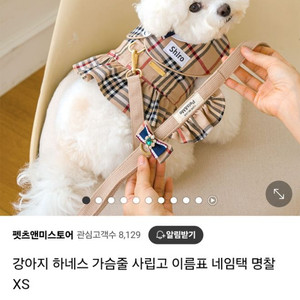 펫츠앤미 사립고 하네스 s