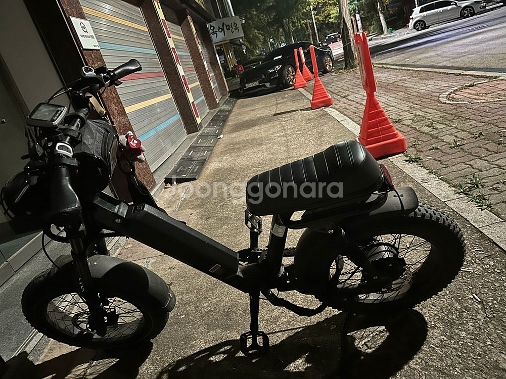 바이로와일드 전기자전거--1