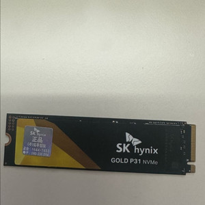 GOLD P31 SSD500GB