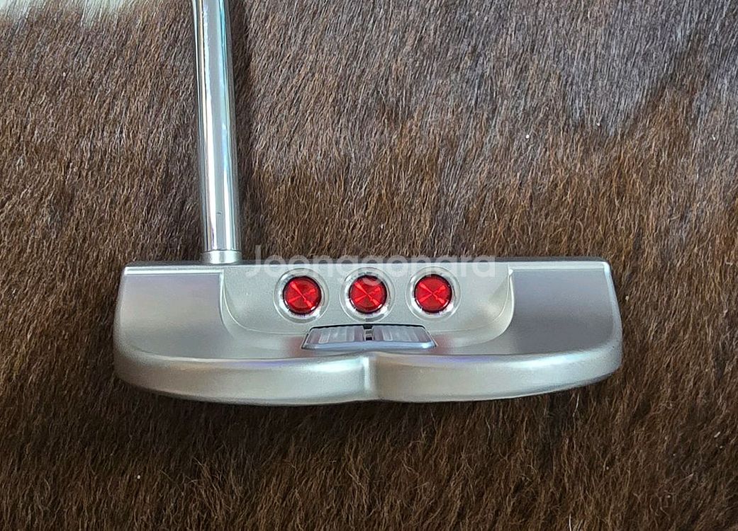 스카티카메론 Scotty Cameron 고로 GOLO6--4