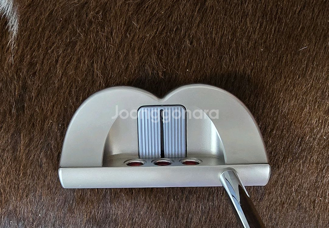 스카티카메론 Scotty Cameron 고로 GOLO6--2