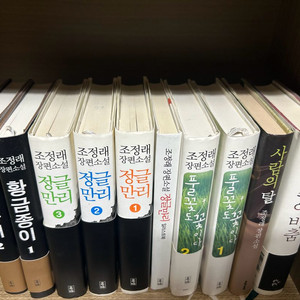 조정래 소설