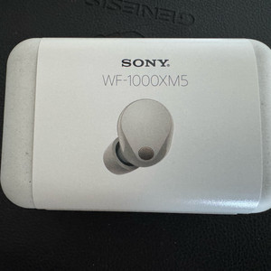 WF-1000XM5