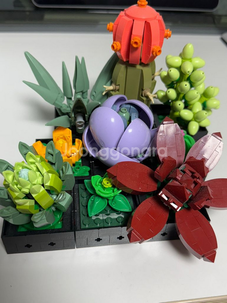 레고 아이디어스 10309 다육식물 팝니다 (+그루트)--0