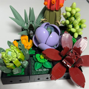레고 아이디어스 10309 다육식물 팝니다 (+그루트)