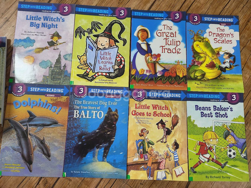 스텝 인투 리딩 3단계 30권--0