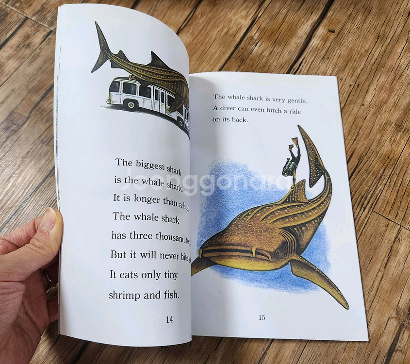 스텝 인투 리딩 3단계 30권--5