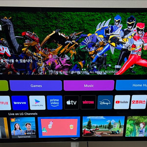 LG OLED 55인치 TV