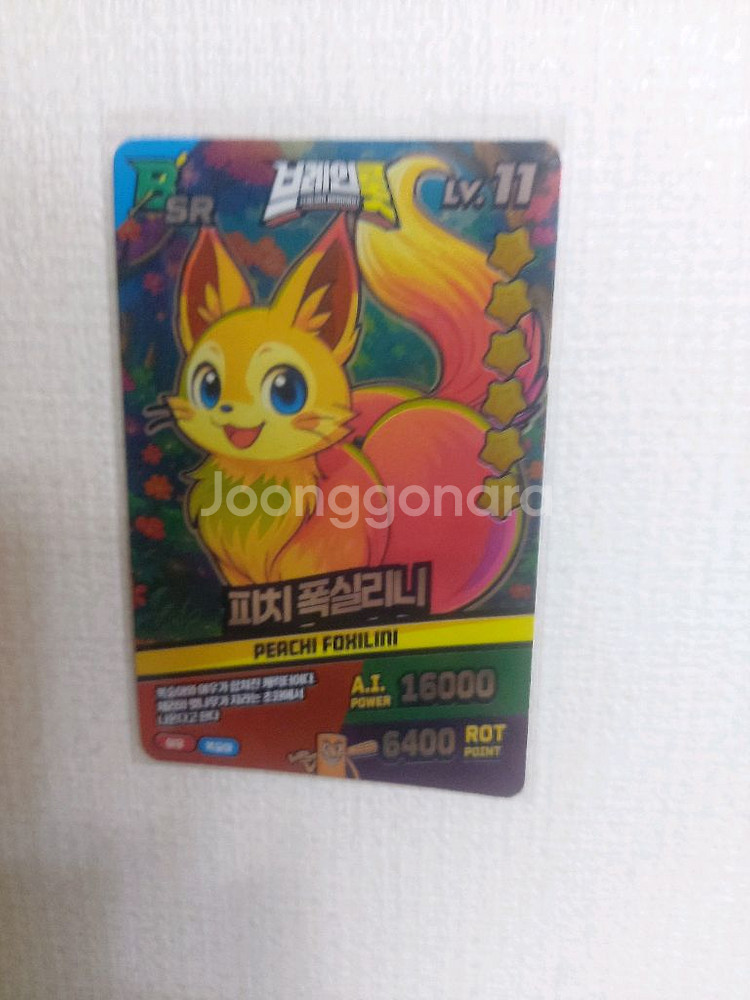 이탈리안 브래인롯 피치 폭실리니--0