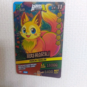 이탈리안 브래인롯 피치 폭실리니