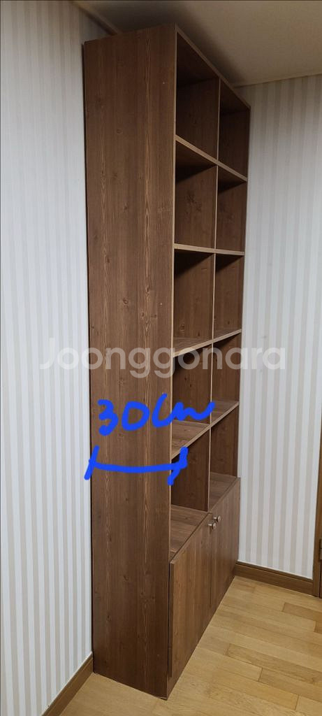 책장--1
