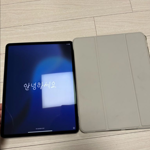 아이패드 프로 5세대 M1 12.9인치 128gb 스그