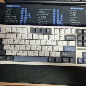 ALUA F87 PRO 독거미 기계식 키보드(회목축)