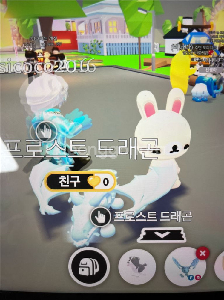 입양하세요 얼드--0