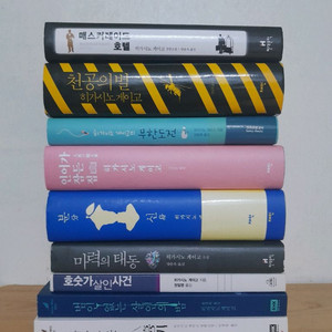 히가시노게이고 소설
