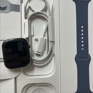 애플워치10티타늄 내추럴 46mm 애플케어+ SSS급