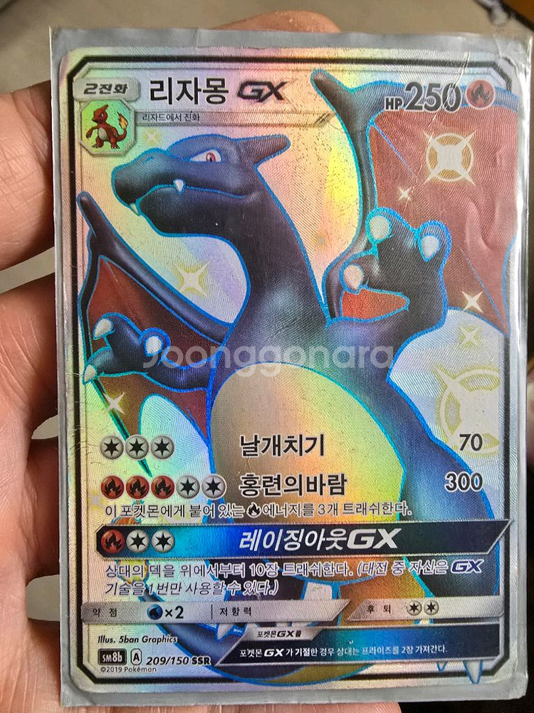 리자몽gx이로치 한정판--0