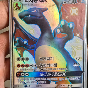 리자몽gx이로치 한정판