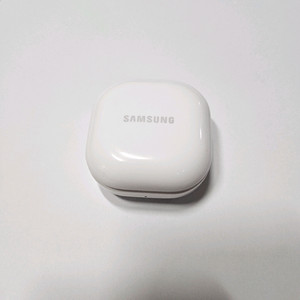 버즈 2