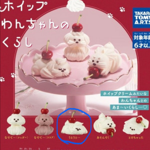 휘핑크림 강아지가챠
