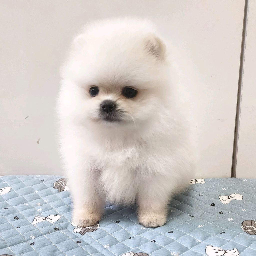 프로파일