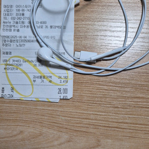 이어팟 c타입 애플정품 단순개봉 새제품