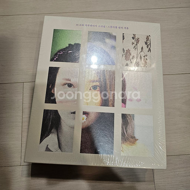 아이유 조각집--0