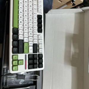독거미 f87 pro 회목축