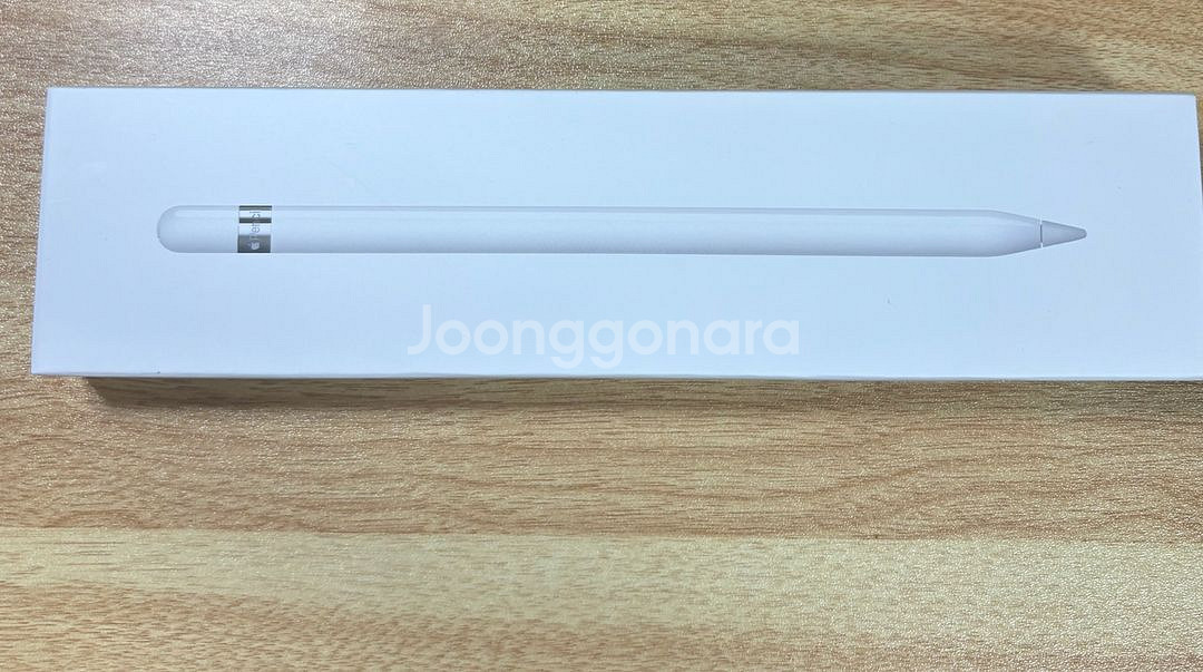 애플펜슬--0