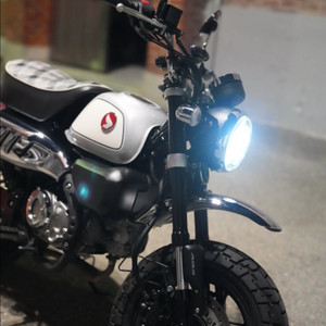 24년 몽키 125