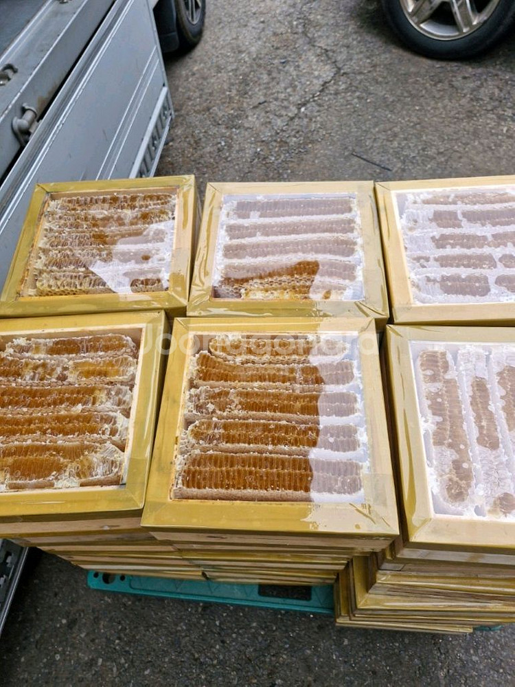 양봉 벌집꿀 벌꿀 판매합니다--0