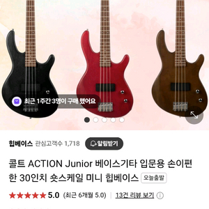 콜트 30인치 숏스케일 베이스